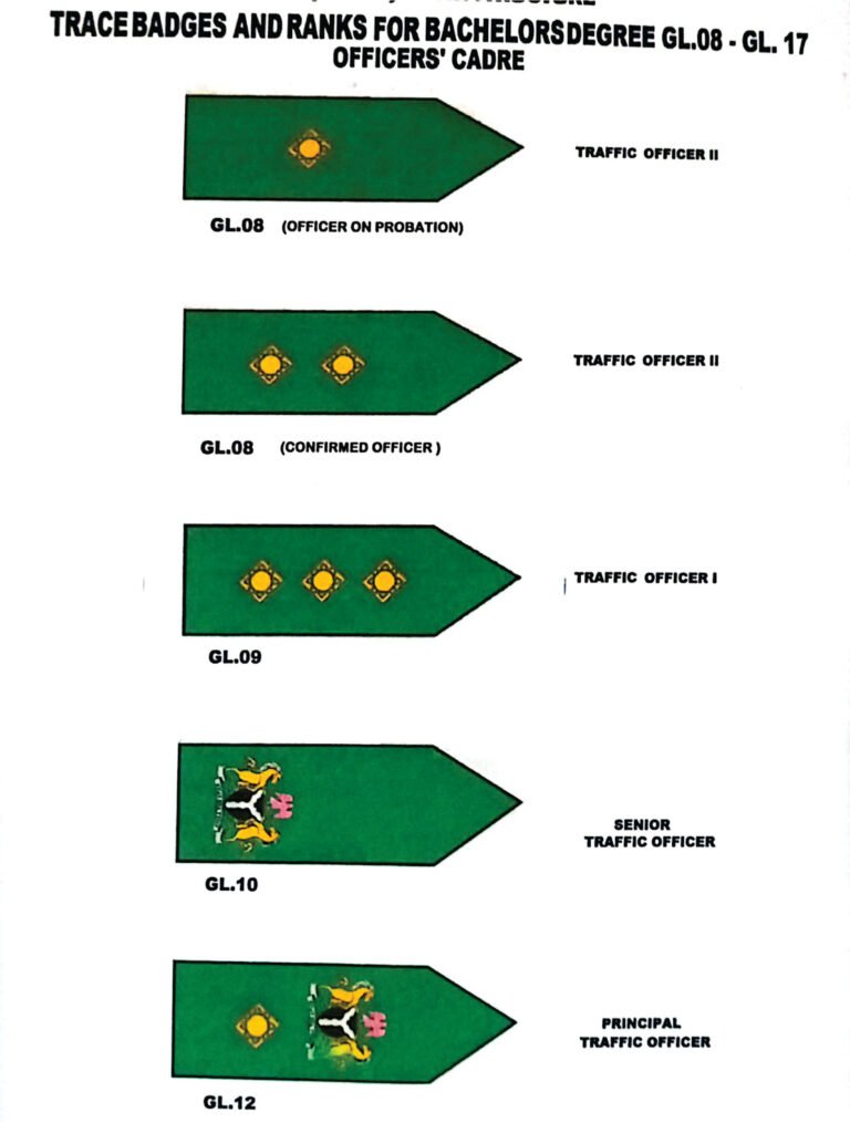 Trace Badges & Ranks For Bachelors Degree Gl 08-Gl 17 Officer's Cadre 1