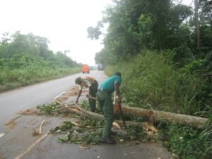 Read more about the article Zero Tolerance for Road Obstruction